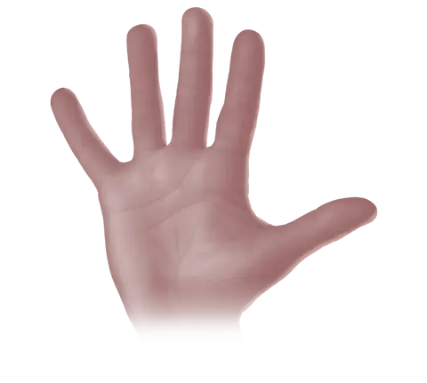 Hand under normal light